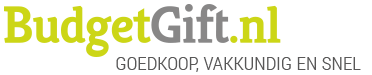 Large budgetgift logo